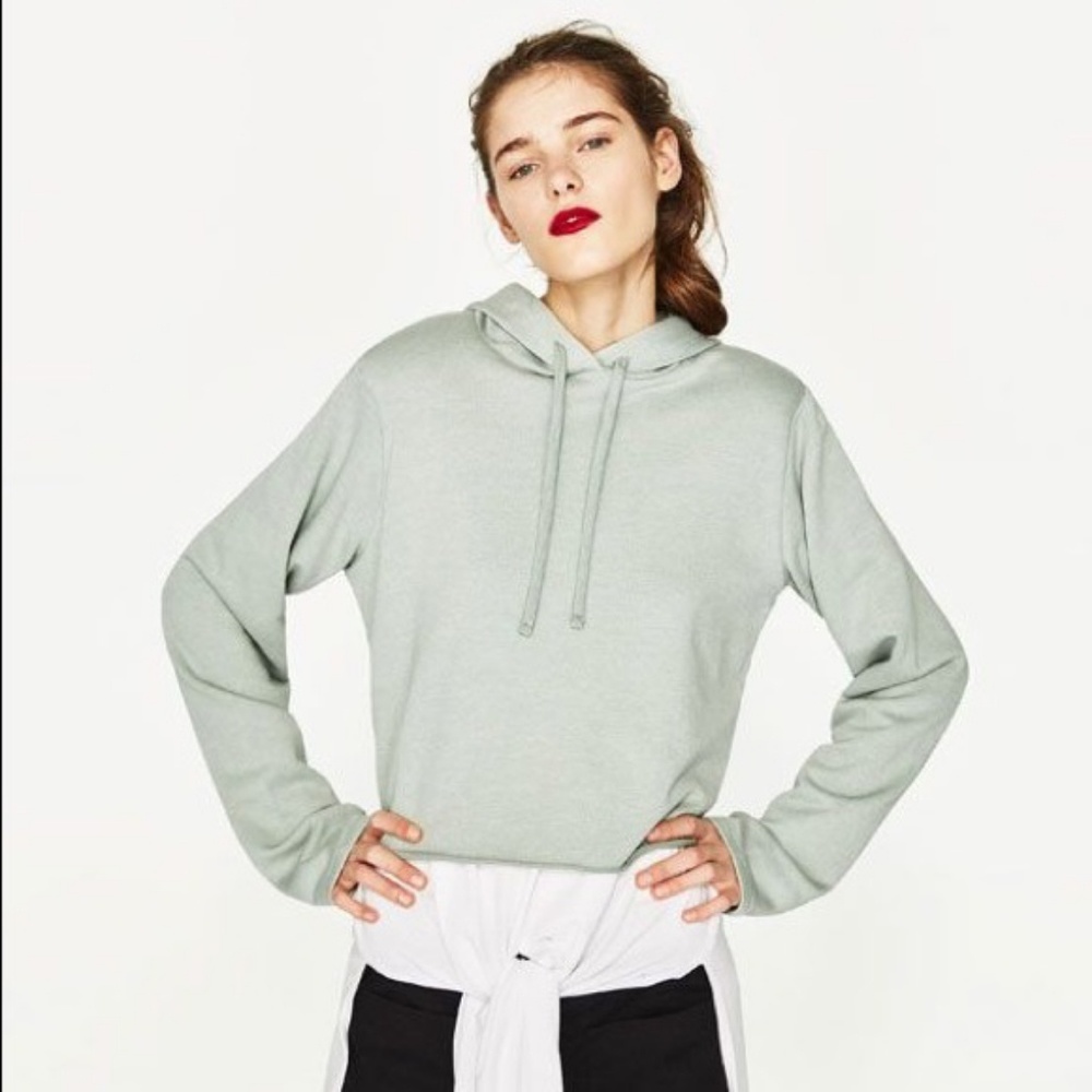 Zara Trafaluc cropped hoodie